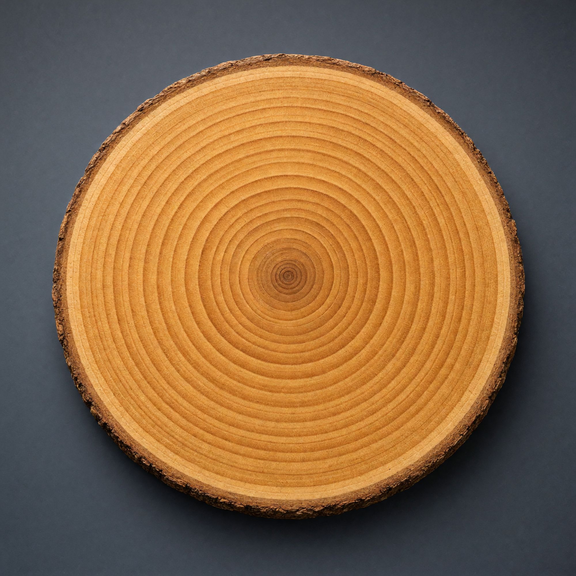 Cross-section of a tree trunk that adds rings as you scroll